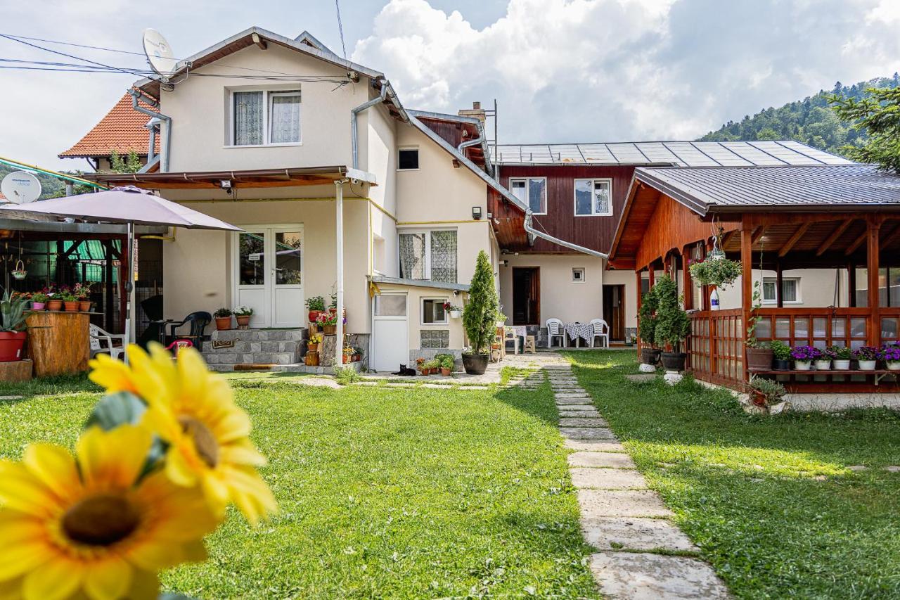 Pensiunea Montan Busteni Exterior photo