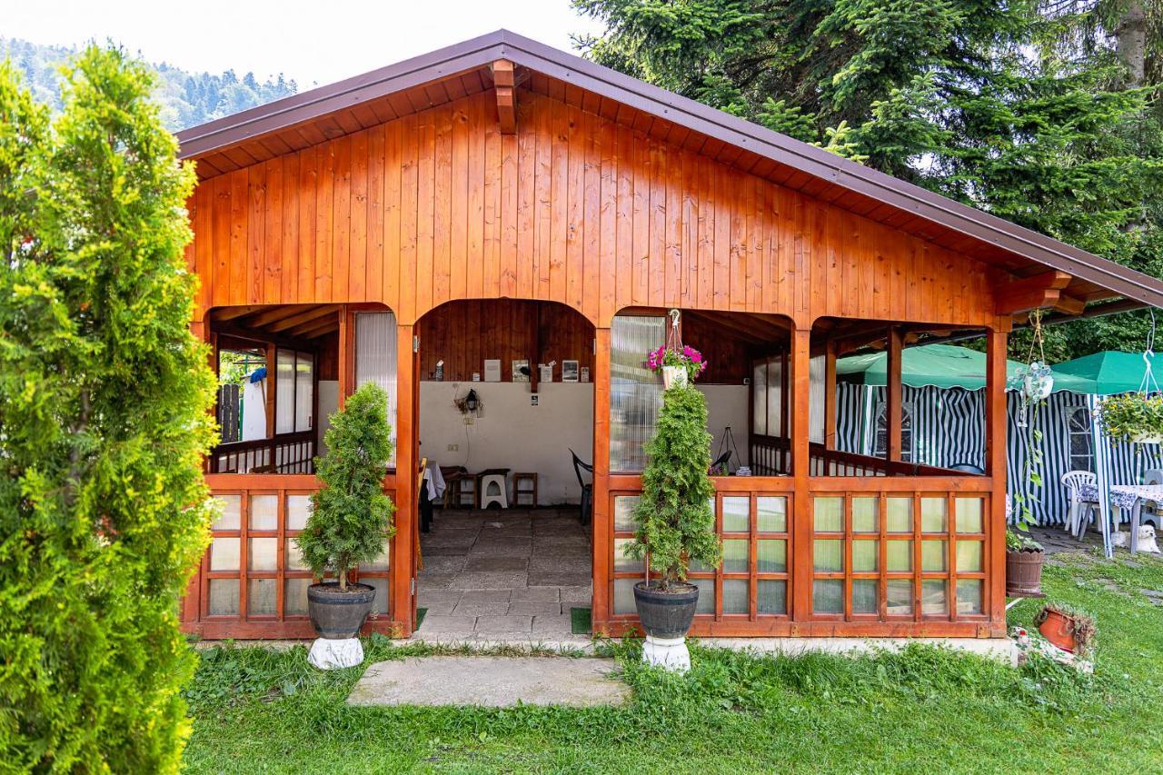 Pensiunea Montan Busteni Exterior photo