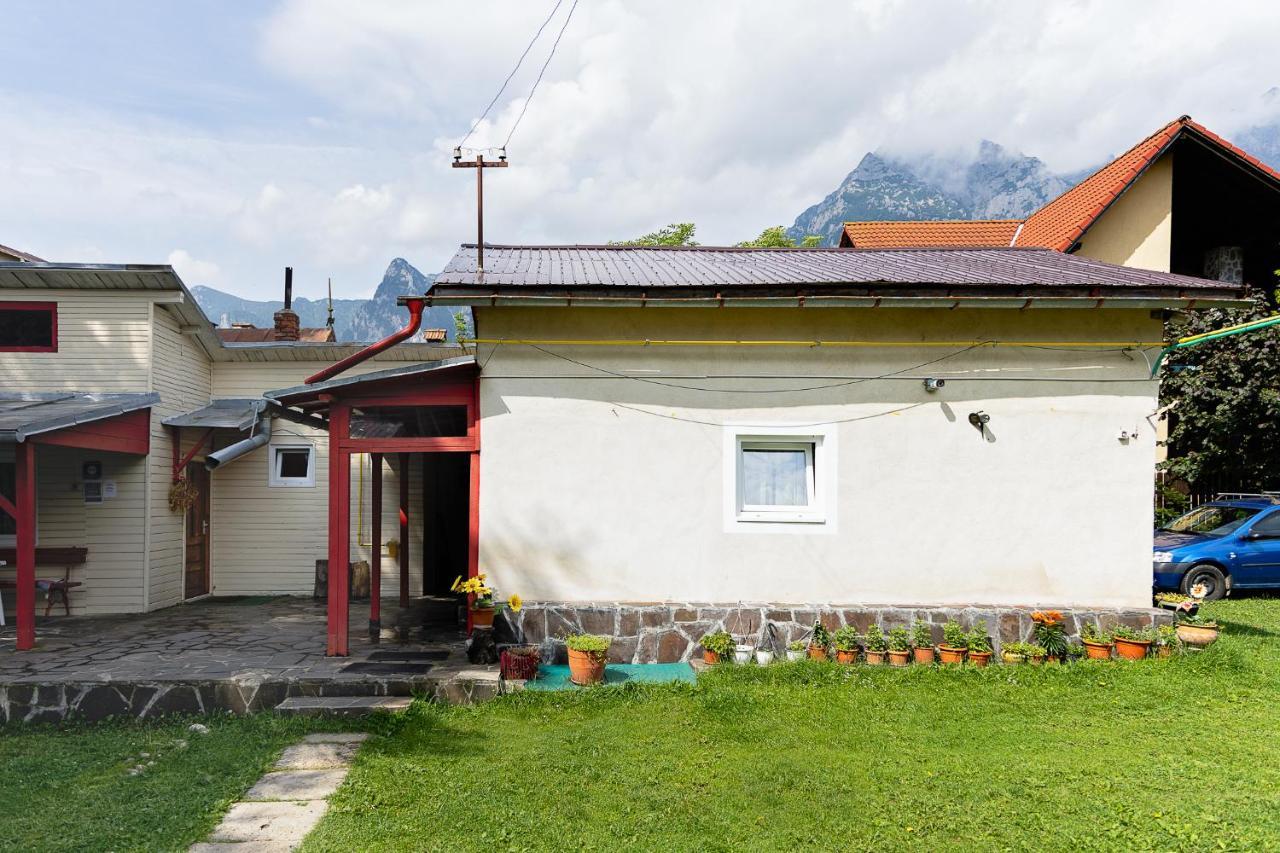 Pensiunea Montan Busteni Exterior photo